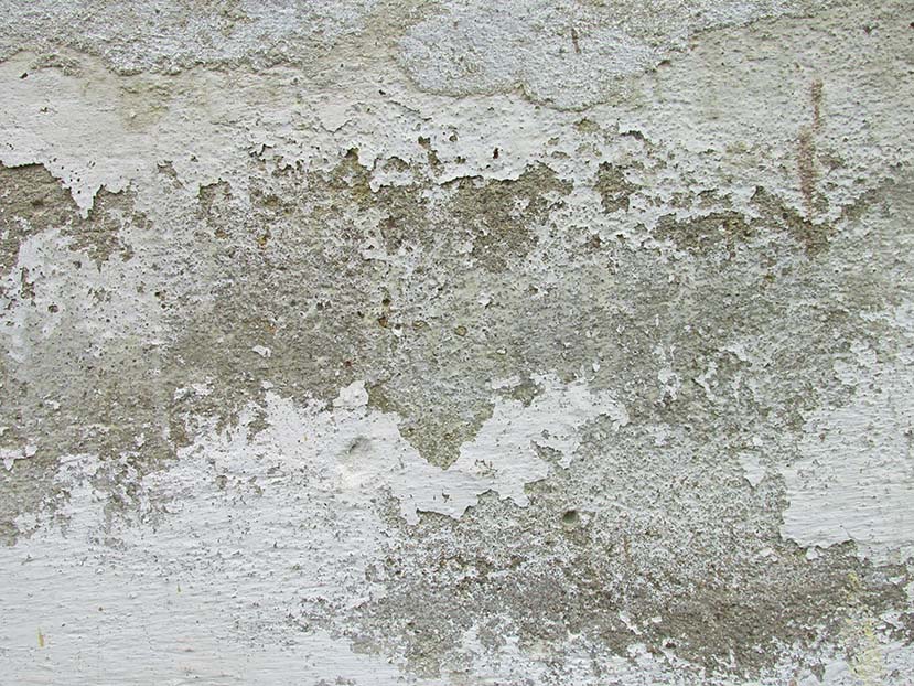 Sanierung von Feuchteschäden